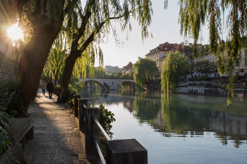 A walking path beside the Ljubljanica river with willow trees and bridge arches reflected in the water