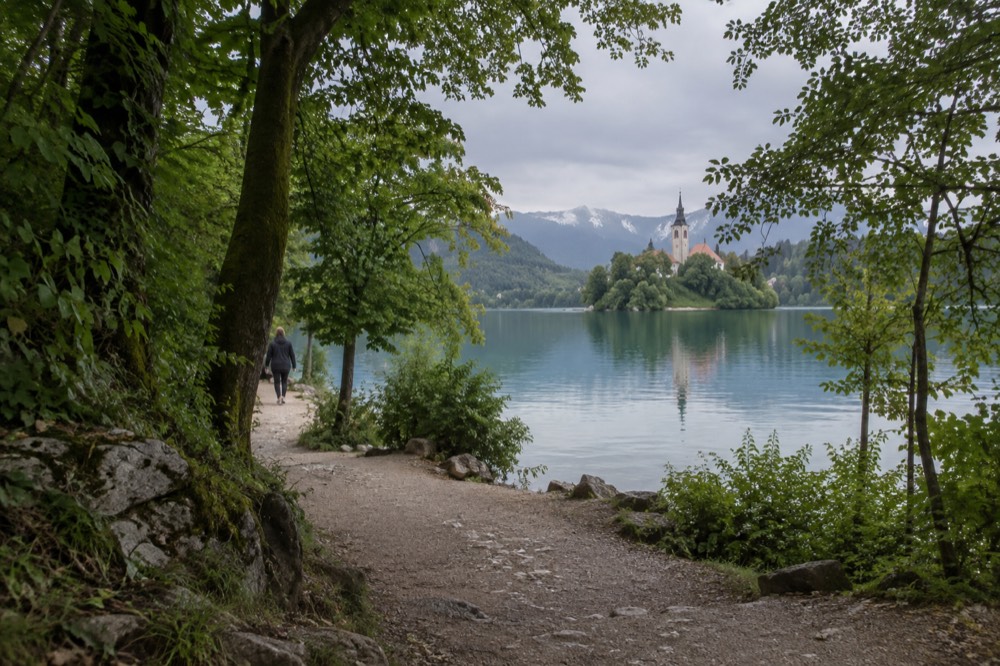 A quiet path through green trees leading towards a lake shoreline