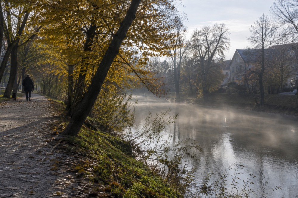 Riverbank path in autumn with golden trees and low mist over the water