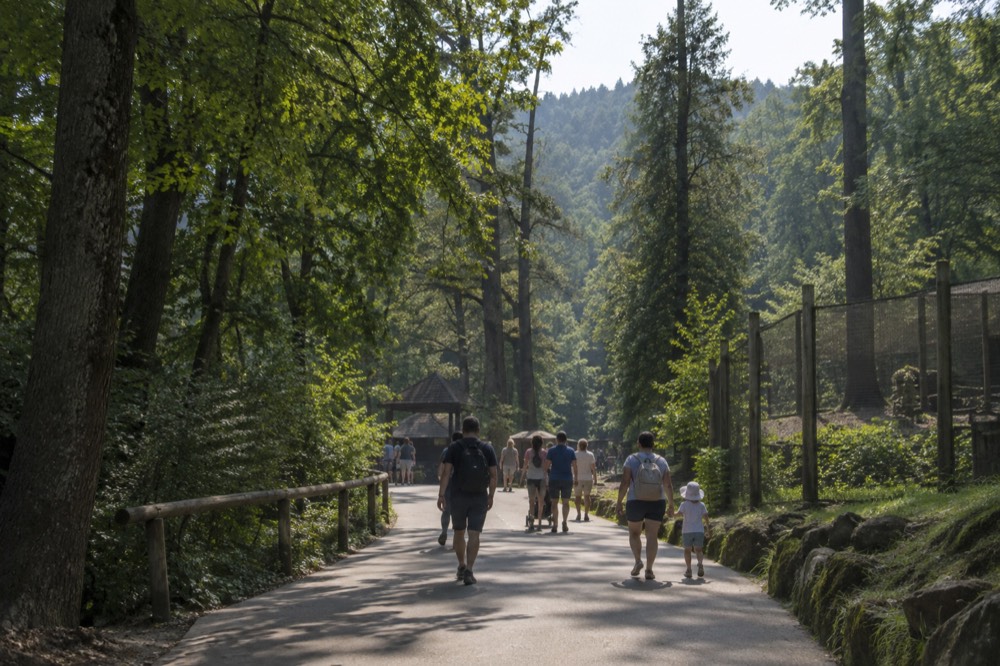 A broad park promenade lined with trees leading toward a hill