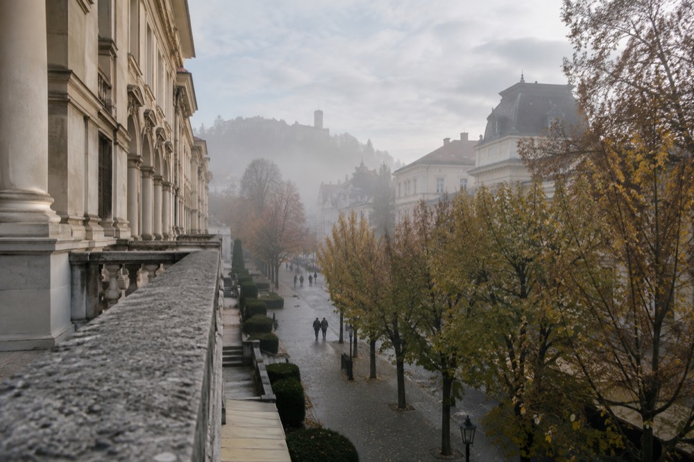 Tree-lined street with classical building facades near a city museum quarter