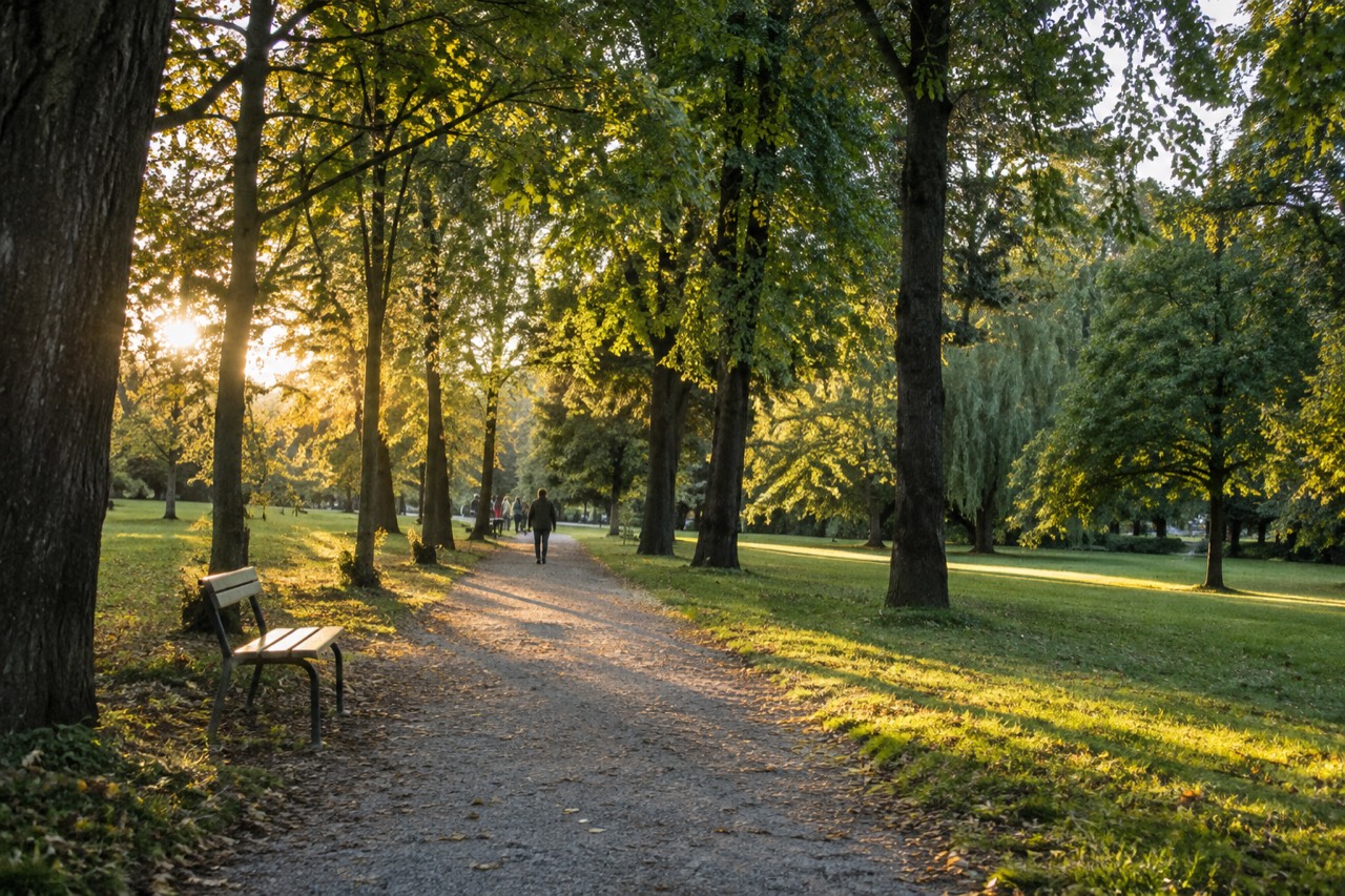 Tree-lined gravel path in a large city park with lawns on either side