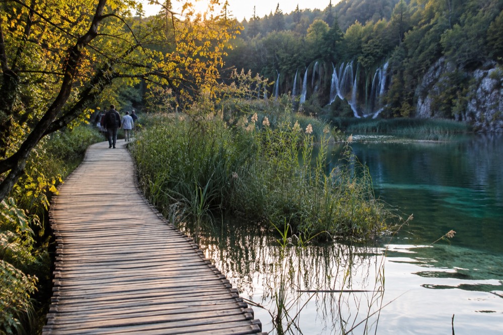 Wooden boardwalk winding across still turquoise water between reeds and forest
