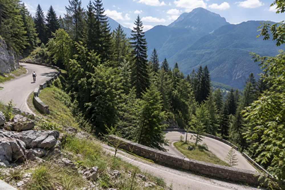 Winding mountain road with hairpin bends climbing through conifer forest