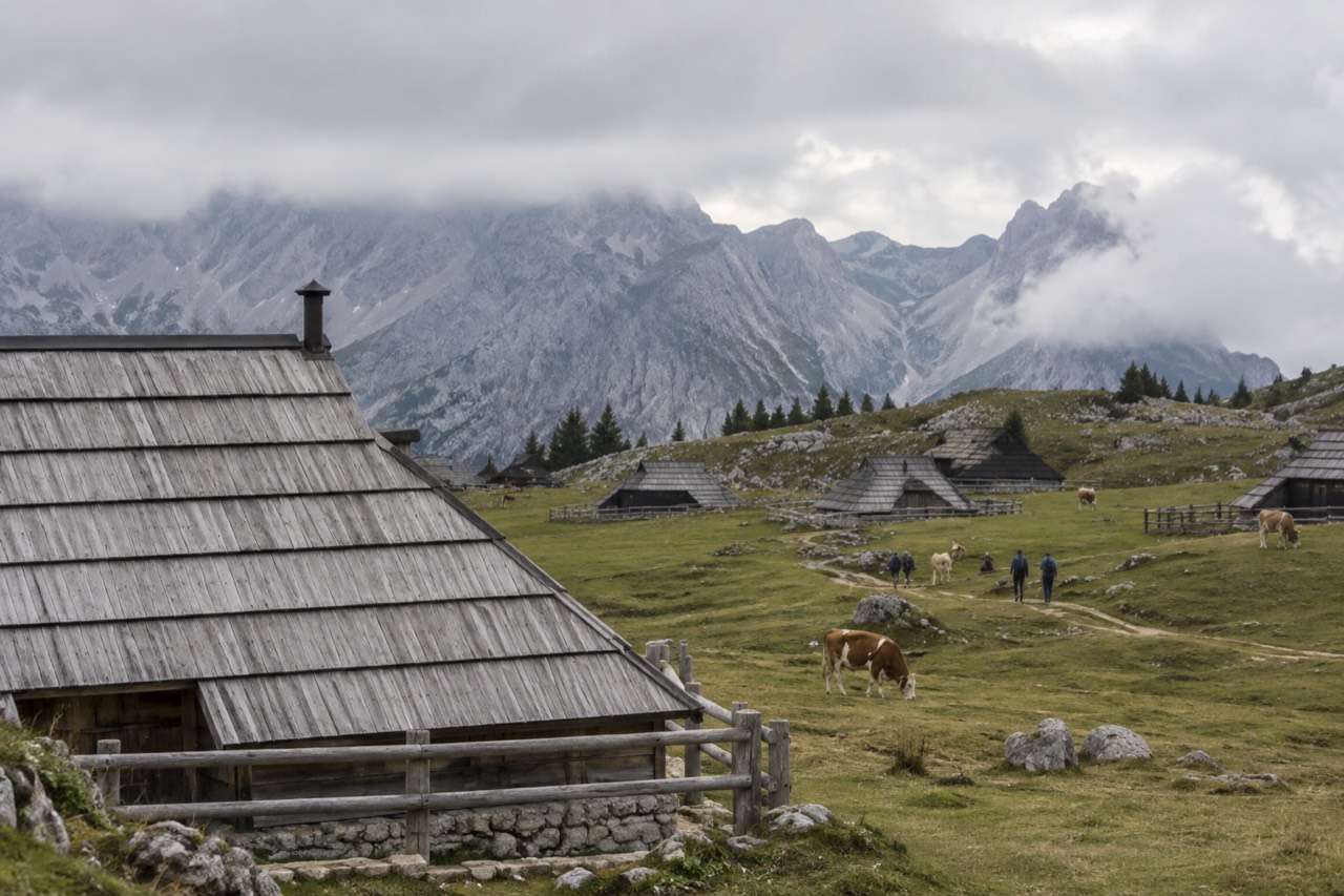 Wooden herdsmen's huts with shingled roofs spread across a high alpine meadow below the Kamnik Alps