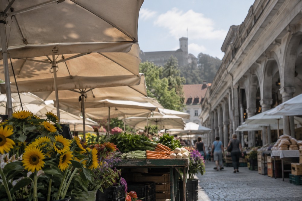 Market stalls with fresh vegetables, bread and flowers under morning light